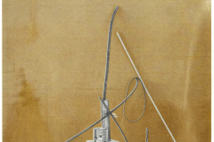 BarbelPraun02