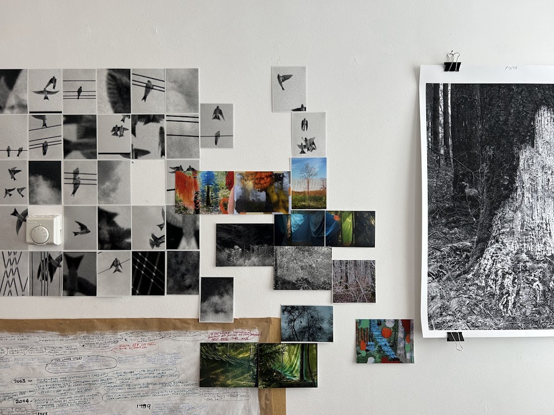 Helen Sear at Hapax by Rodrigo Orrantia