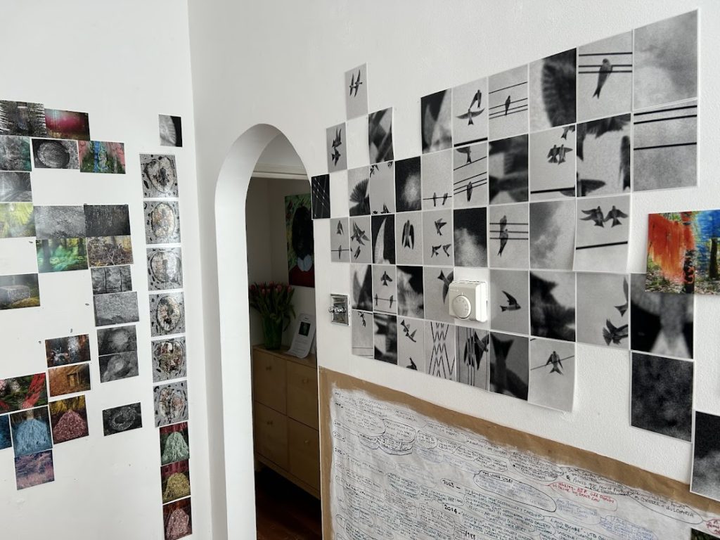 Helen Sear at Hapax Living room